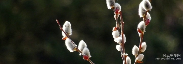 DSC00229 - Version 2.JPG