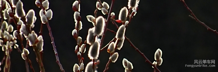 DSC00415 - Version 2.JPG