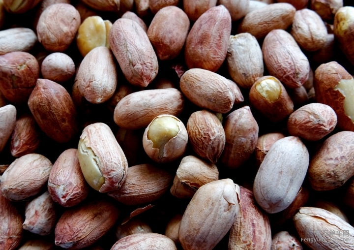 DSC01206 - Version 2.JPG