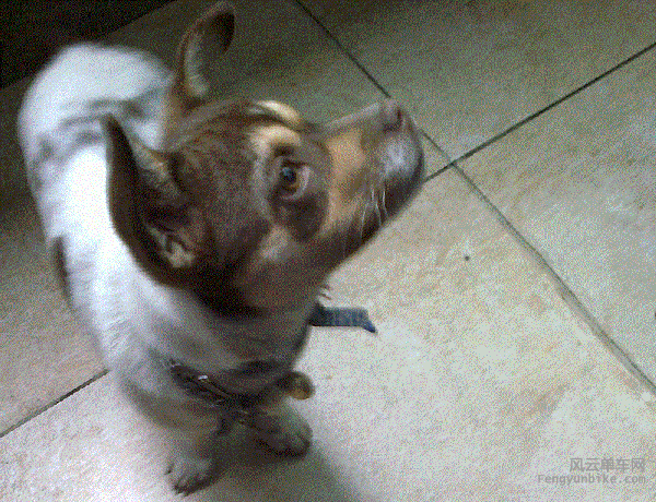 骑士魔方--单车发电