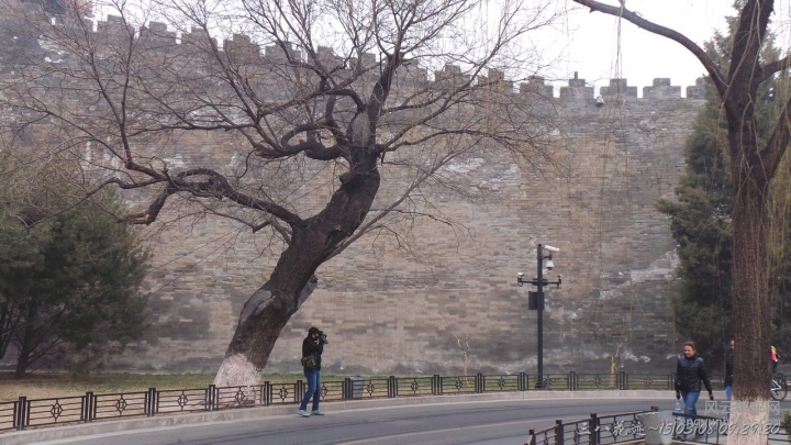 SA-15-03-08 09-29-20.JPG