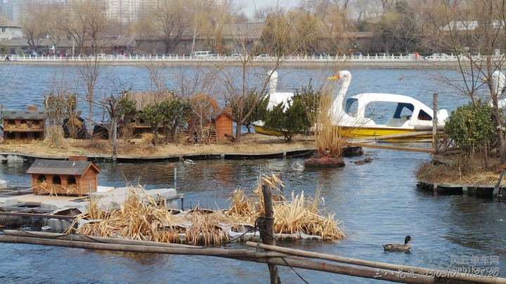 SA-15-03-08 11-28-20.JPG