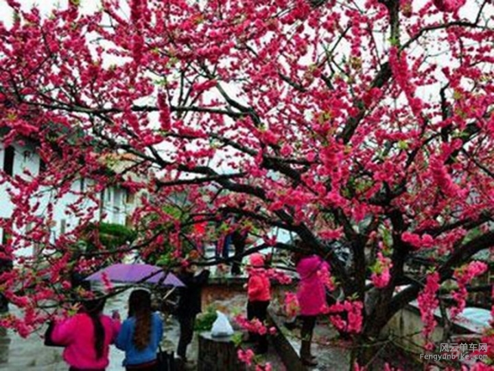 骑士魔方--单车发电