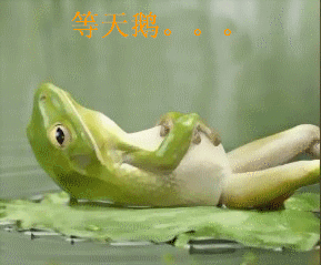 QQ图片20150324221437.gif