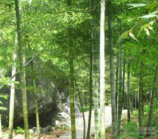 骑士魔方--单车发电