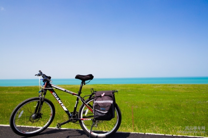 青海畔自行车.jpg