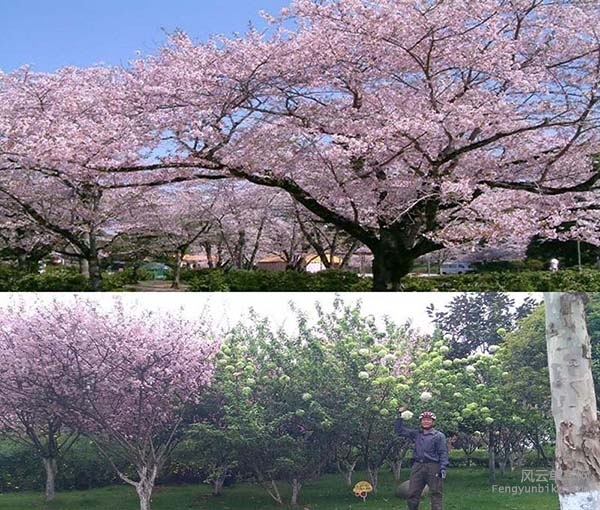 骑士魔方--单车发电