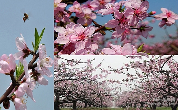 骑士魔方--单车发电