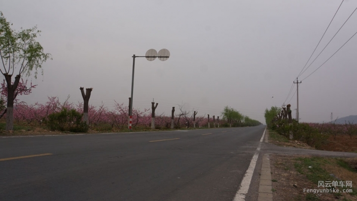 DSC04016.jpg