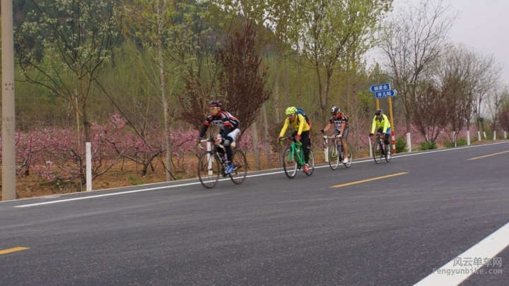 DSC04034.jpg
