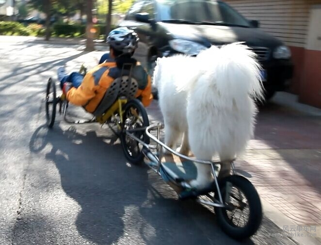 webwxgetmsgimg (1).jpg