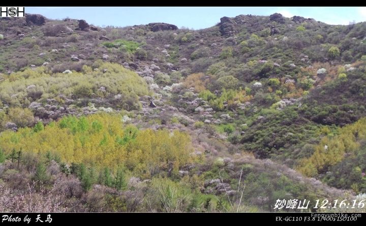 SA-15-04-25 12-16-16.jpg