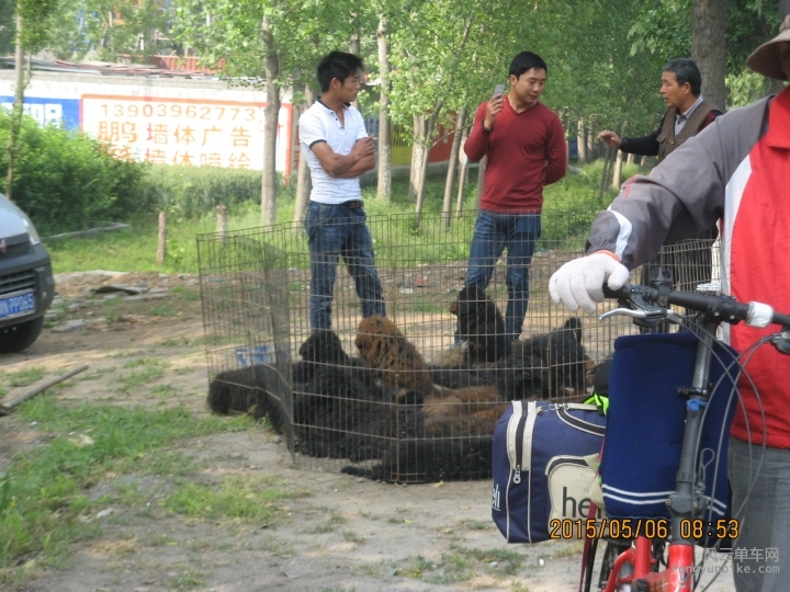 骑游普陀山 039.jpg