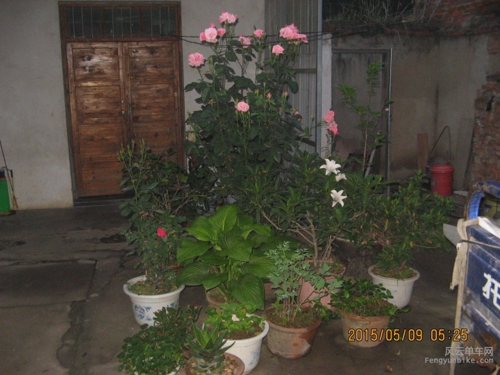 骑游普陀山 064.jpg