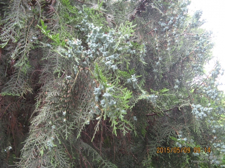 骑游普陀山 080.jpg