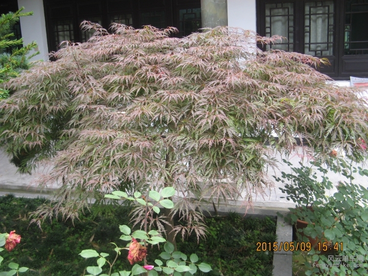 骑游普陀山 124.jpg