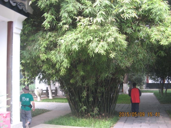 骑游普陀山 125.jpg