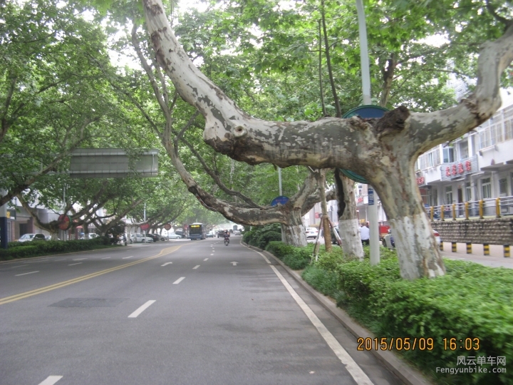 骑游普陀山 131.jpg