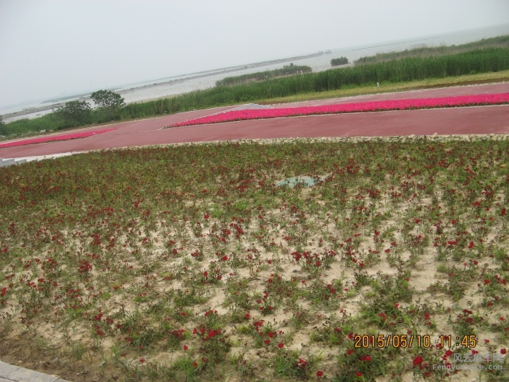 骑游普陀山 236.jpg