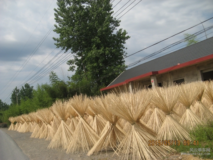 骑游普陀山 407.jpg