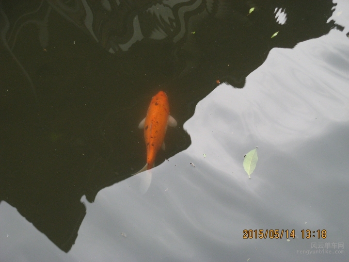 骑游普陀山 478.jpg