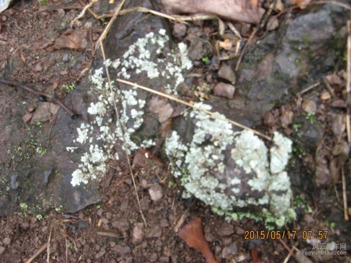 骑游普陀山 613.jpg