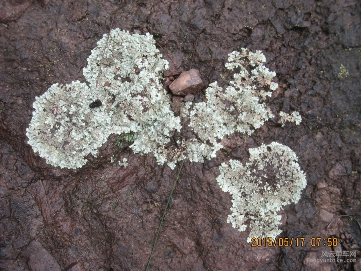 骑游普陀山 614.jpg