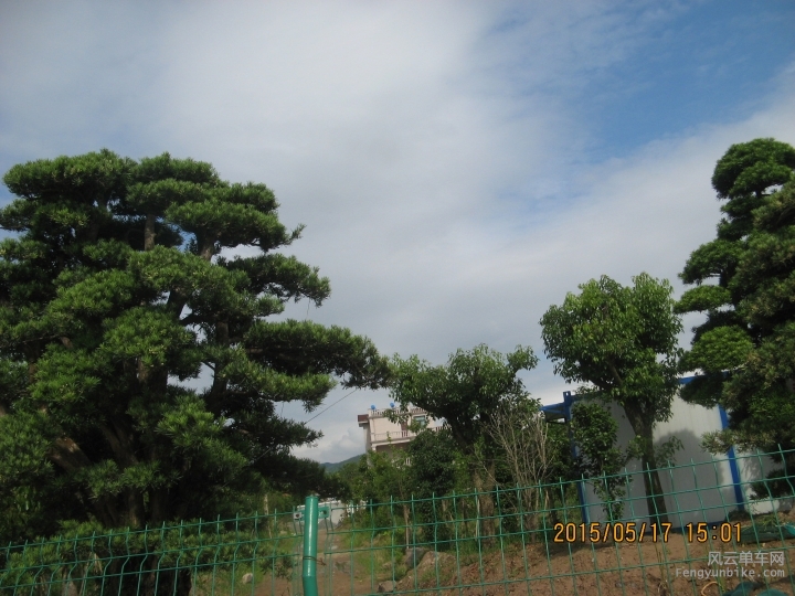 骑游普陀山 728.jpg