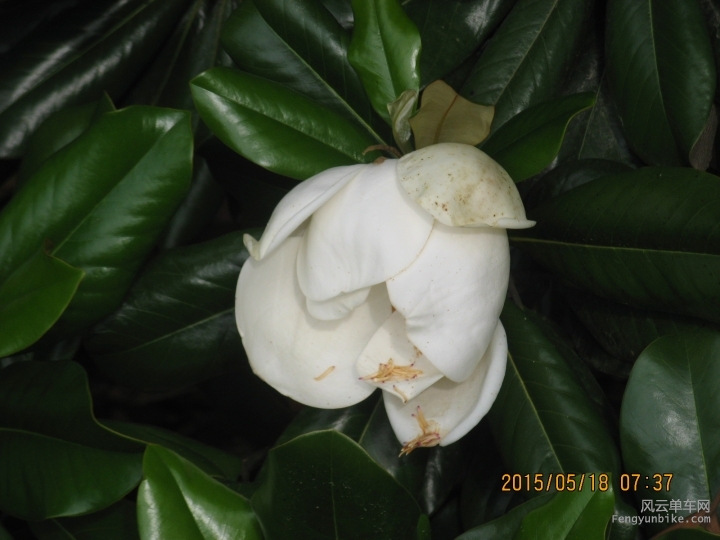 骑游普陀山 744.jpg