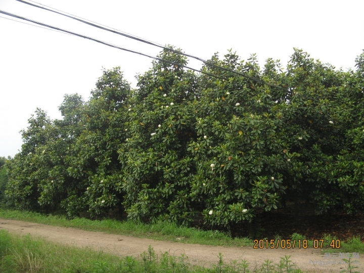 骑游普陀山 745.jpg