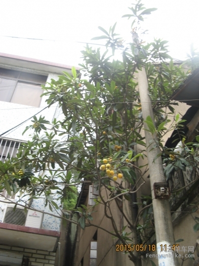 骑游普陀山 763.jpg