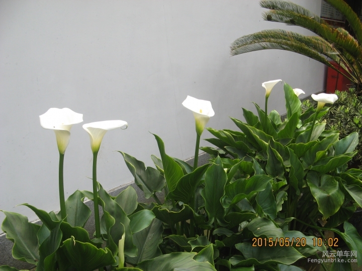 骑游普陀山 955.jpg