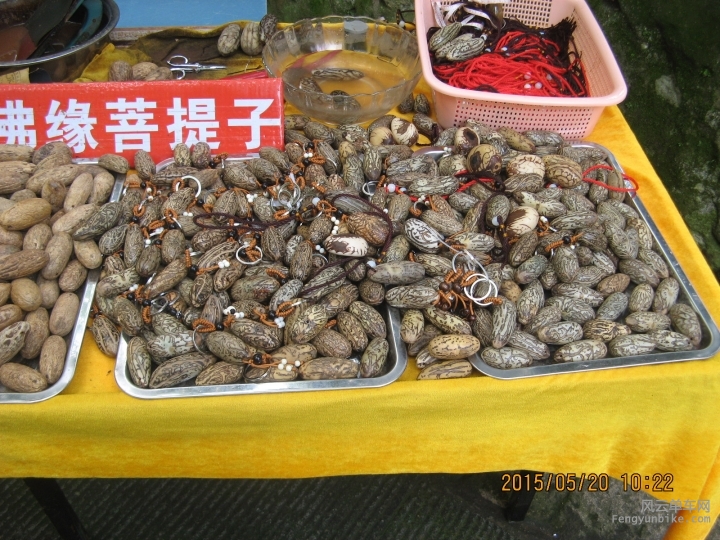 骑游普陀山 976.jpg