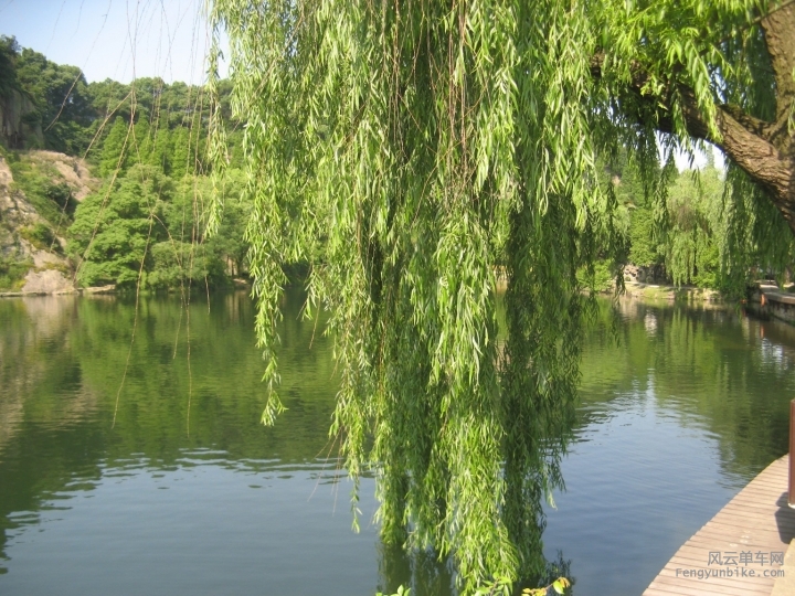 BigBull_骑游普陀山 1156.jpg