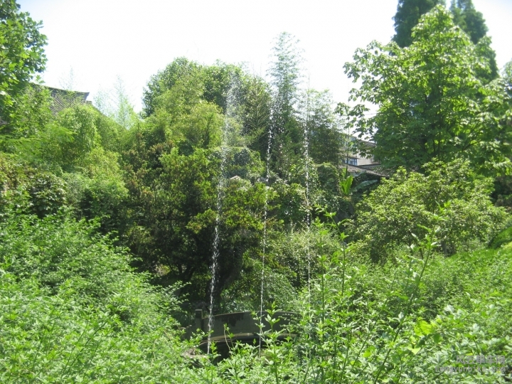 BigBull_骑游普陀山 1208.jpg