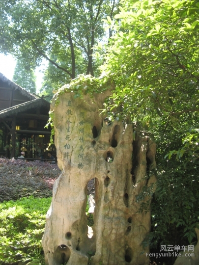 BigBull_骑游普陀山 1213.jpg