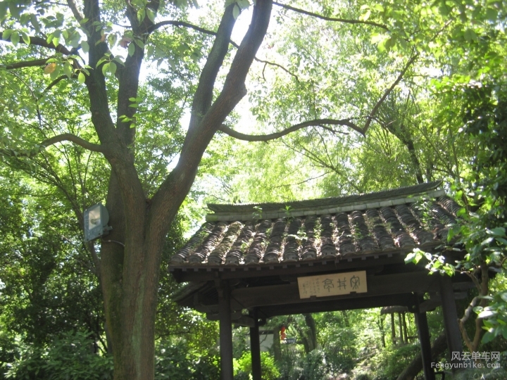 BigBull_骑游普陀山 1218.jpg