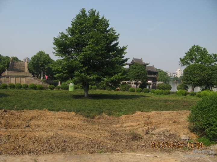 骑游普陀山 1264.jpg