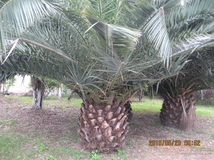 骑游普陀山 1286.jpg