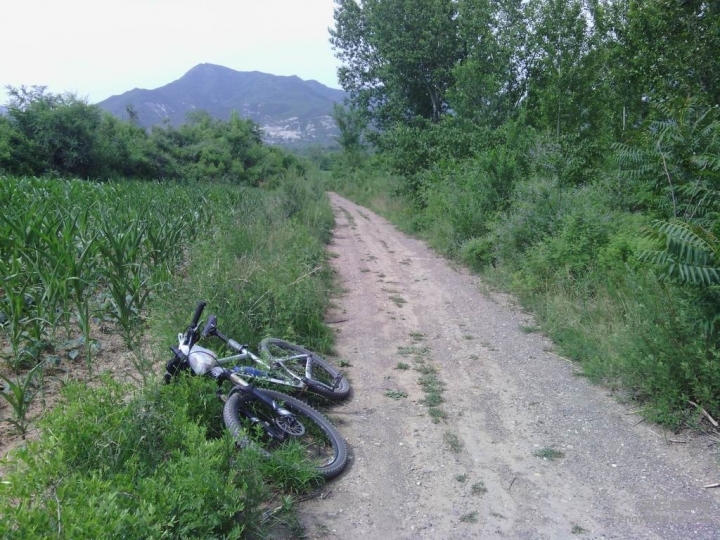 Resize of IMG_20150621_150858.jpg