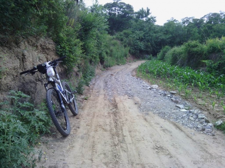 Resize of IMG_20150621_143056.jpg