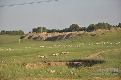 DSC_0781.jpg