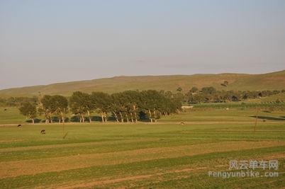 DSC_0800.jpg
