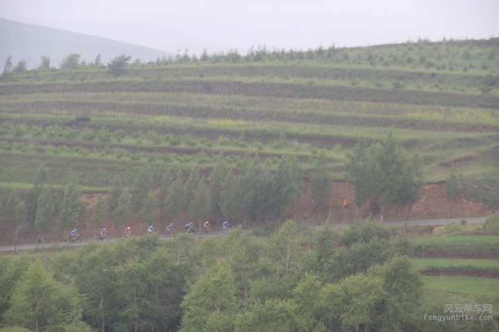 一串整齐的爬坡  