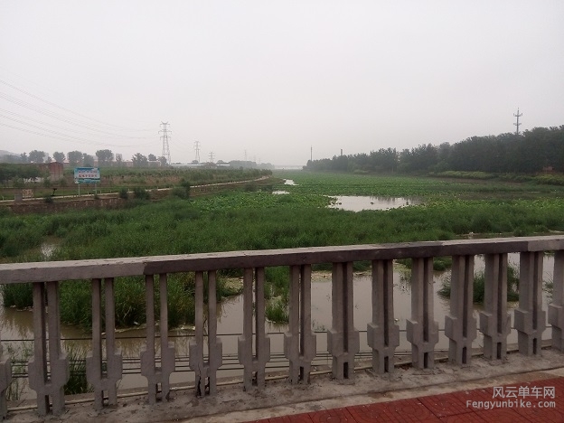 20150719骑行06路过沙河的荷塘.jpg