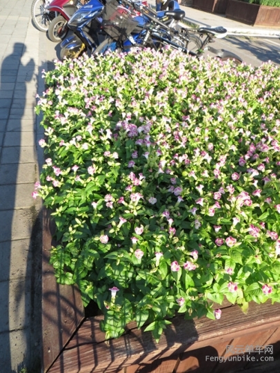 照片 5402_副本.jpg