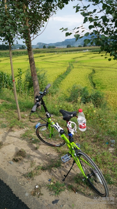 国道两边都是农田