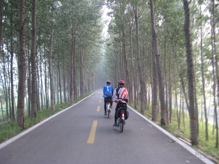 骑游 307.jpg