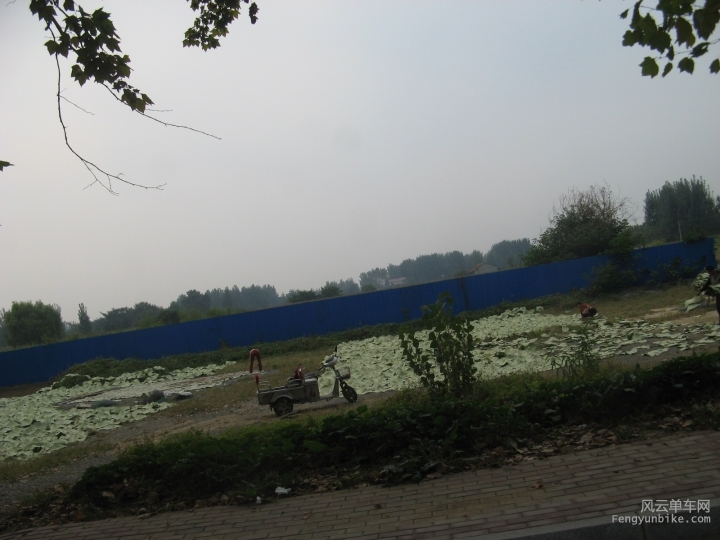 骑游 321.jpg