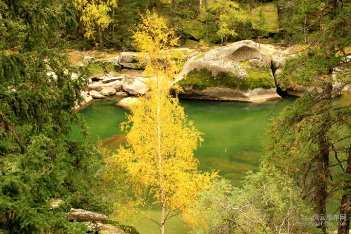 IMG_6432 - _副本.JPG